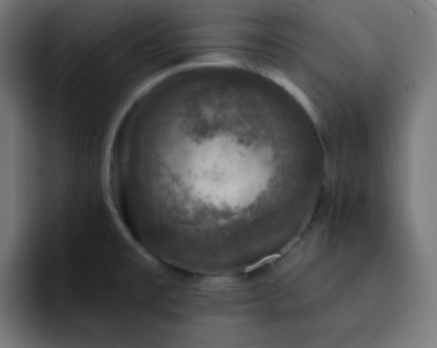 X0000093131477200710031343