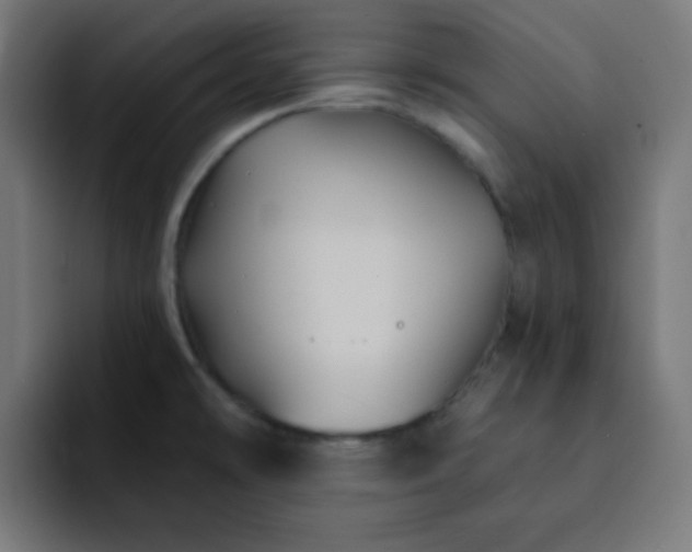 X0000093131478200710031343