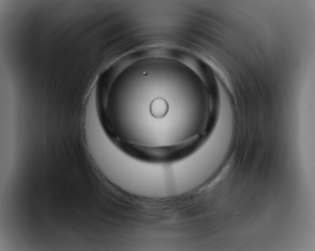 X0000093131481200710031343