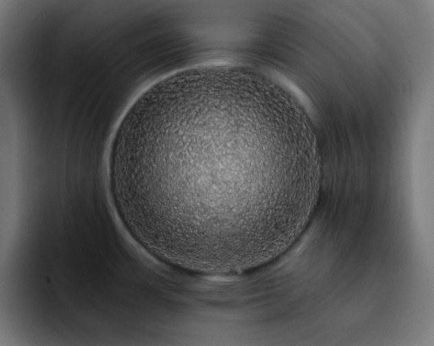X0000093131483200710031343