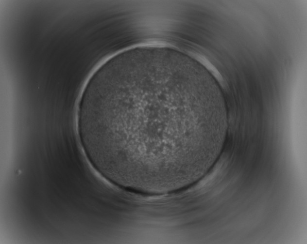 X0000093131484200710031343