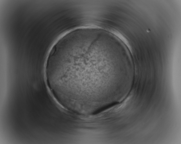 X0000093131485200710031343