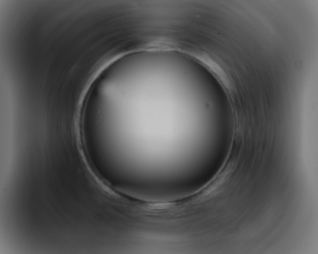 X0000093131486200710031343