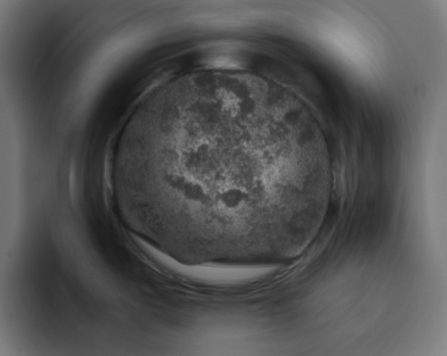 X0000093131487200710031343