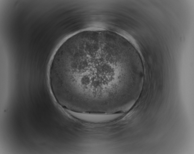 X0000093131488200710031343