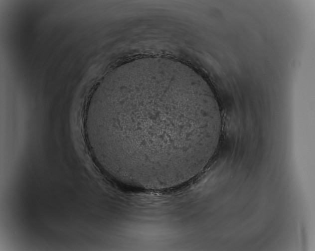 X0000093131489200710031342