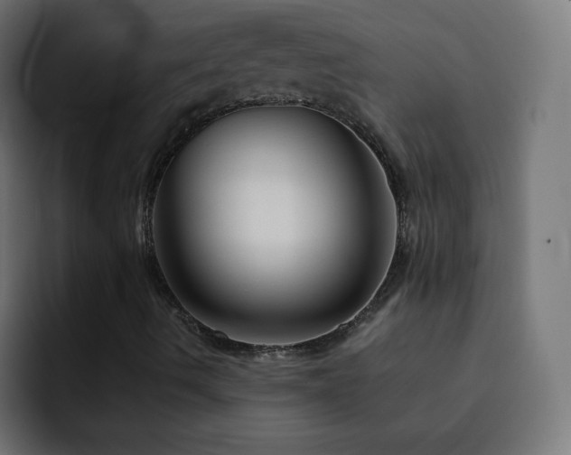 X0000093131490200710031342
