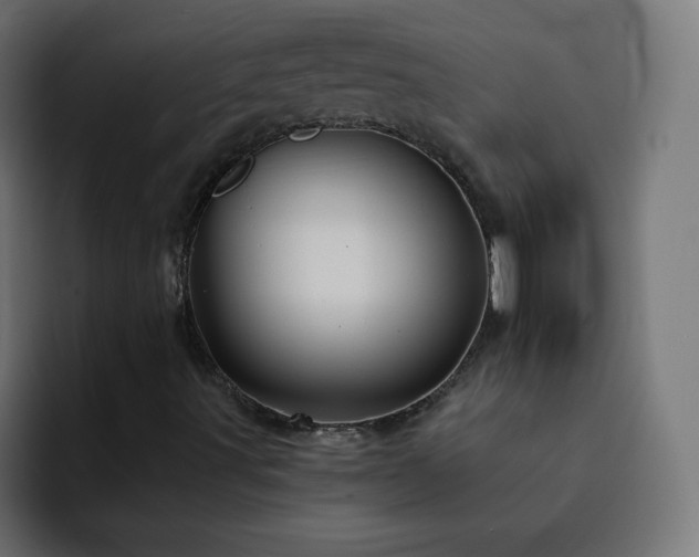 X0000093131491200710031342