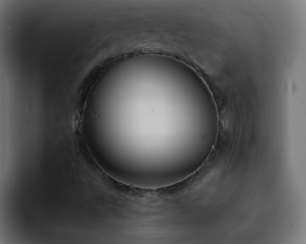 X0000093131495200710031342