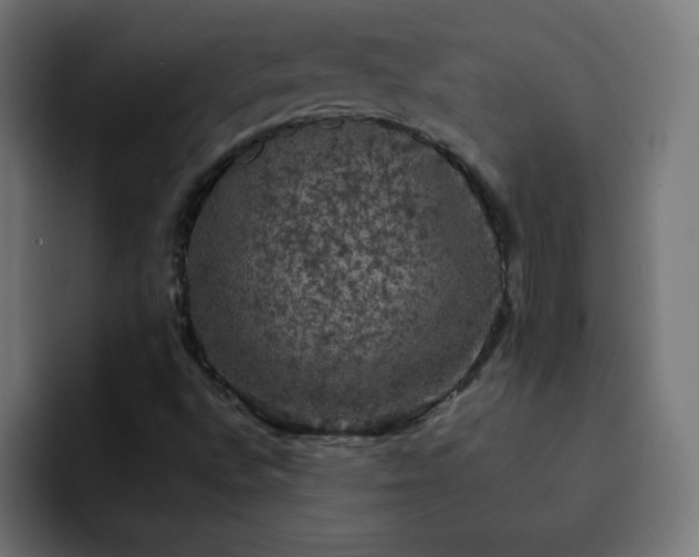 X0000093131496200710031342