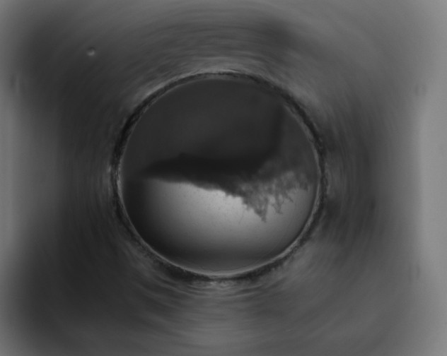 X0000093131497200710031342