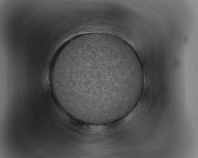 X0000093131498200710031342