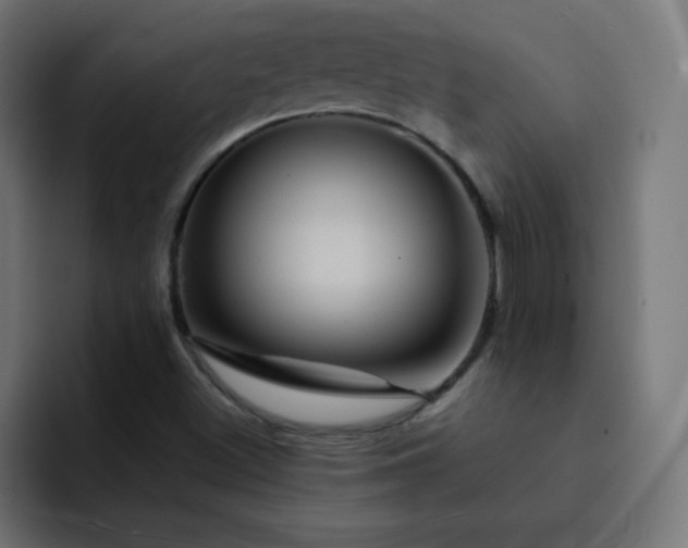 X0000093131500200710031342