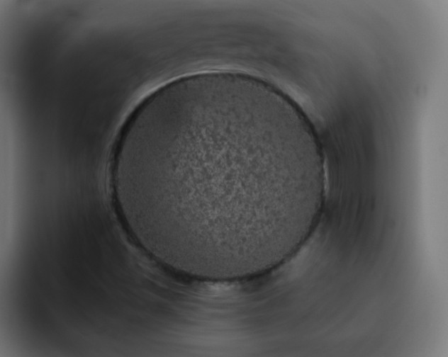 X0000093131501200710031342