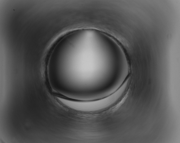 X0000093131502200710031342