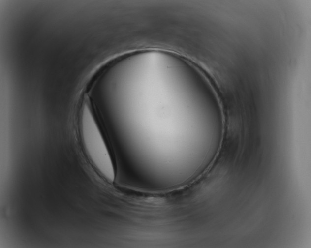 X0000093131503200710031342