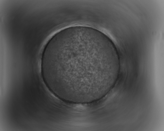 X0000093131504200710031342
