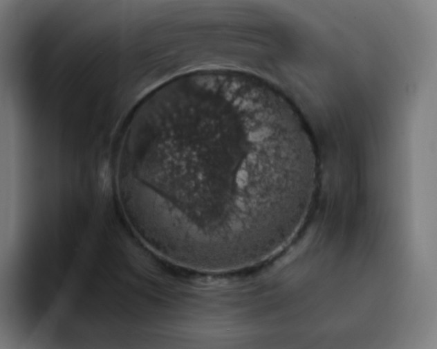 X0000093131505200710031342