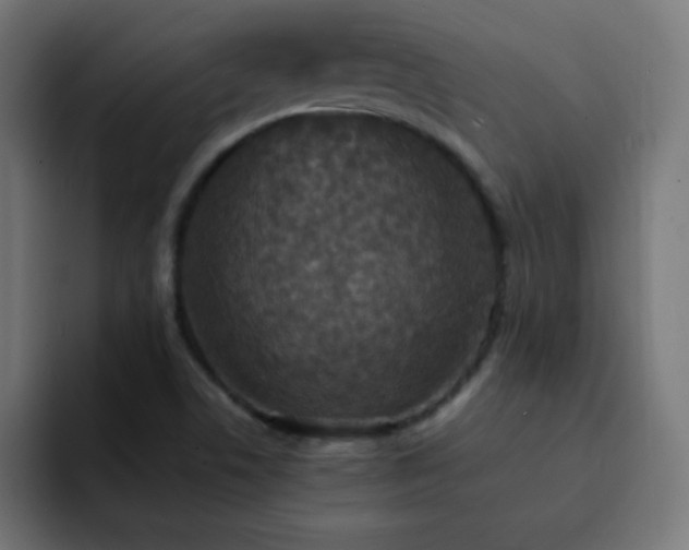 X0000093131506200710031342