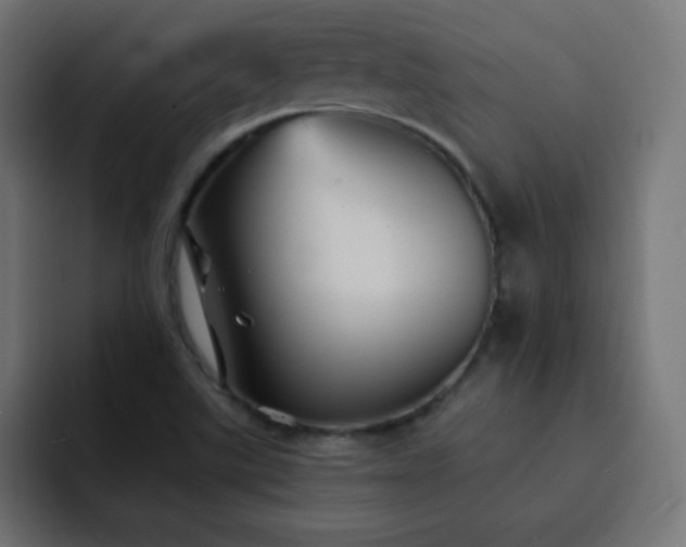 X0000093131507200710031342