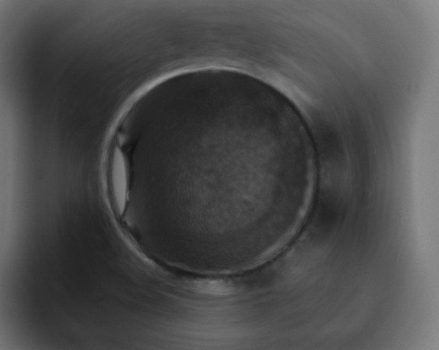 X0000093131508200710031342