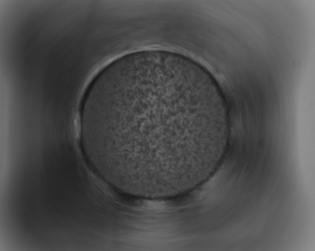 X0000093131509200710031342