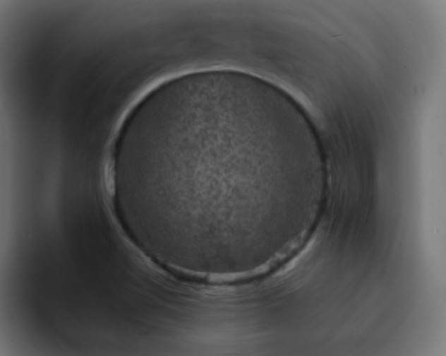 X0000093131510200710031342