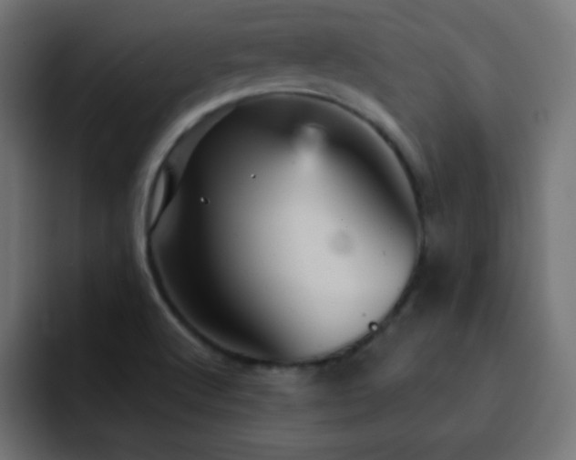 X0000093131512200710031342