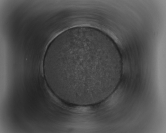 X0000093131513200710031342