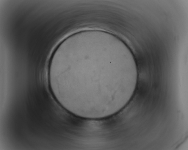 X0000093131514200710031342