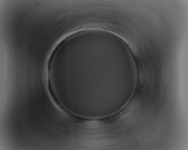X0000093131515200710031342