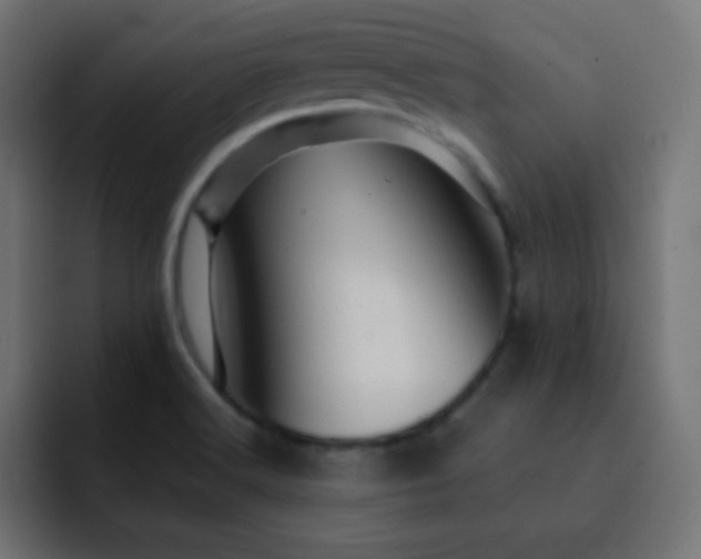 X0000093131516200710031342