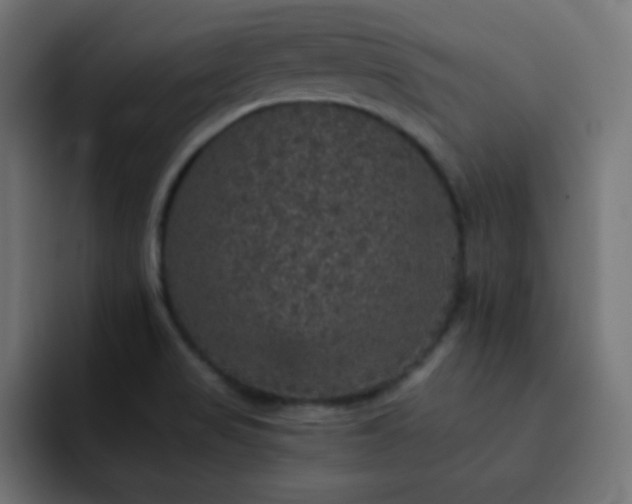 X0000093131517200710031342