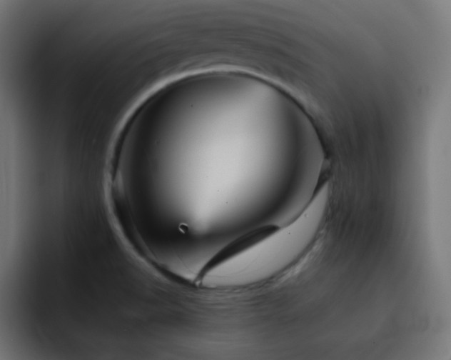 X0000093131518200710031342