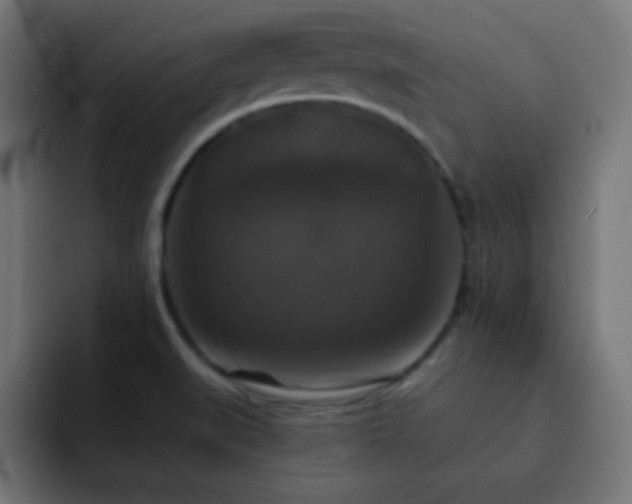X0000093131519200710031342