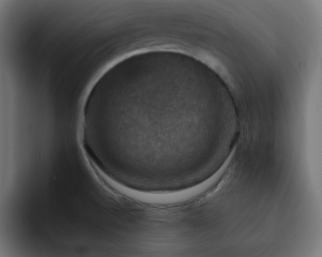 X0000093131520200710031342