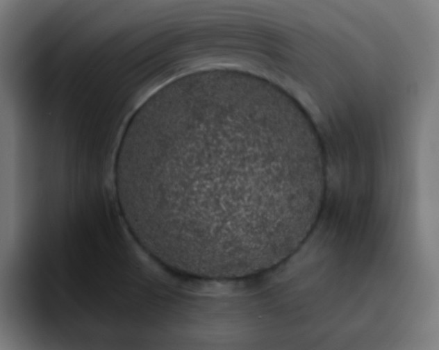 X0000093131521200710031342