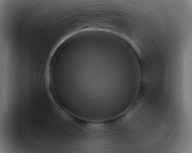 X0000093131522200710031343