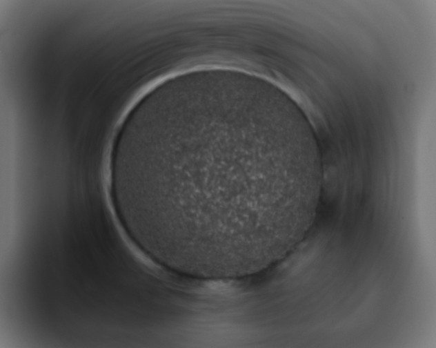 X0000093131523200710031343