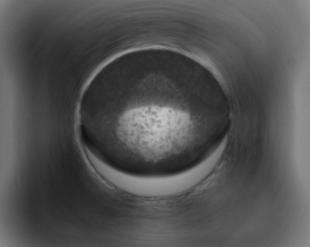 X0000093131524200710031343
