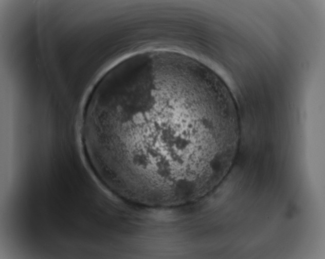 X0000093131525200710031343