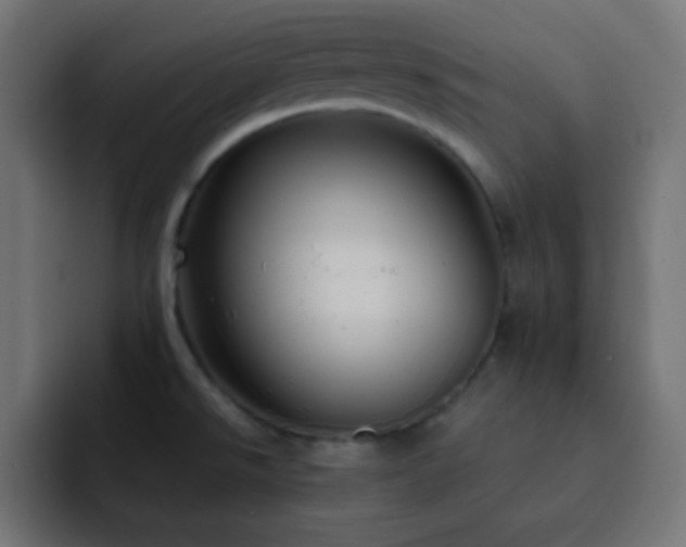 X0000093131526200710031343