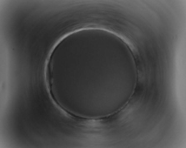X0000093131527200710031343