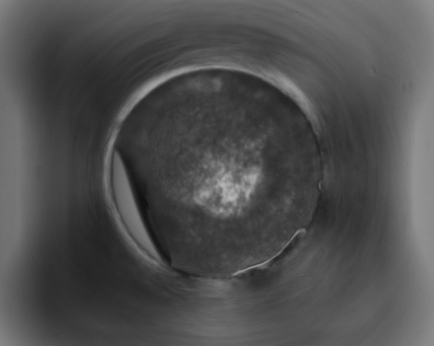 X0000093131528200710031343