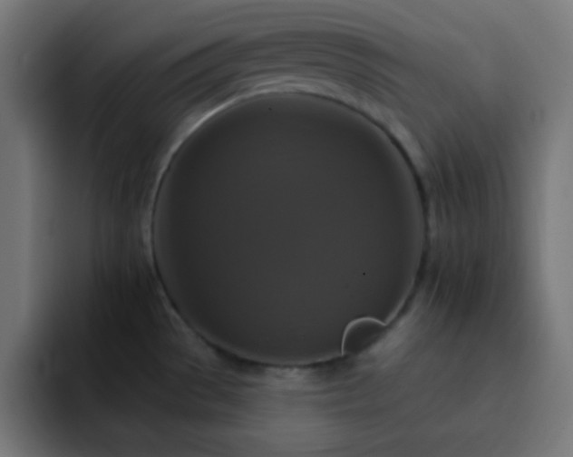 X0000093131529200710031343