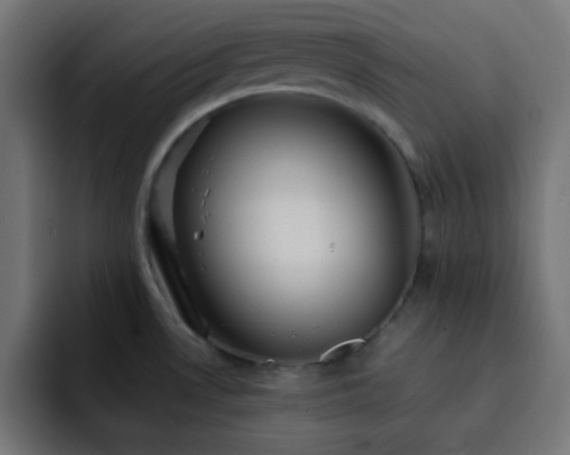 X0000093131530200710031343