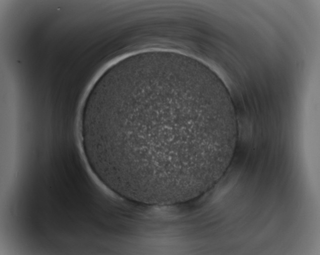 X0000093131531200710031343