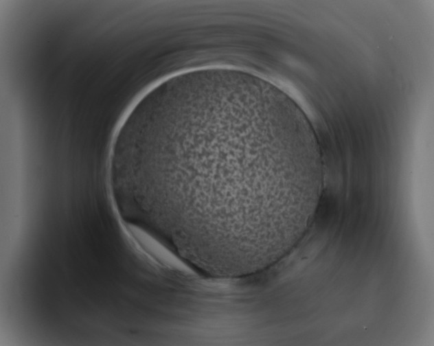 X0000093131532200710031343