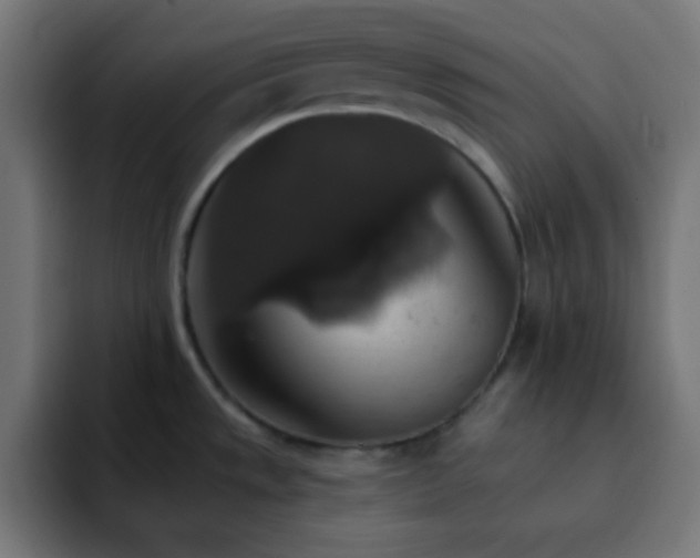 X0000093131533200710031343