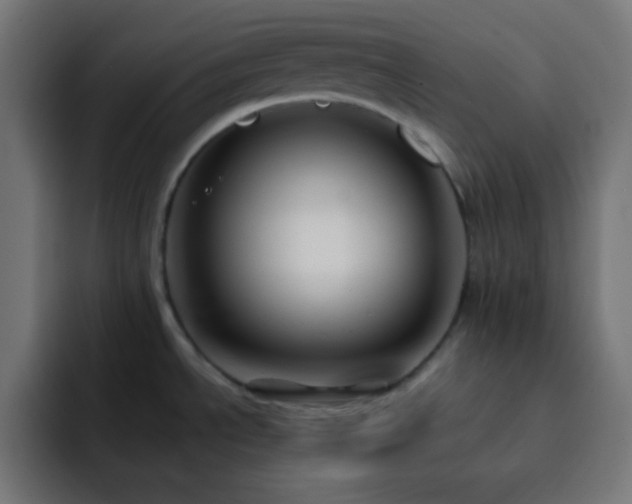 X0000093131534200710031343